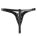 Sexy Multi Rings Bikini Black S-L Passion Labs 32-0081