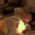 Nocna lampka LED dla dzieci silikonowa 3 tryby świecenia PIESEK biały